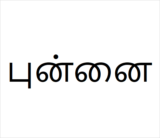 Punnai