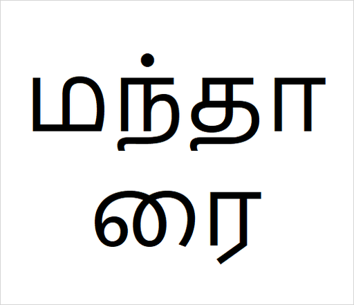 [மந்தாரை] Mandarai