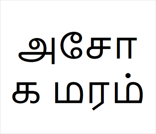 [அசோக மரம்] Asoka