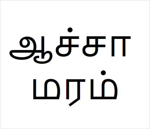 [ஆச்சா] aacha