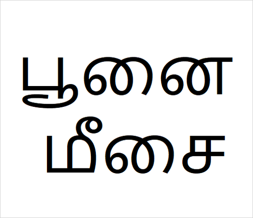 [பூனை மீசை] Poonai meesai