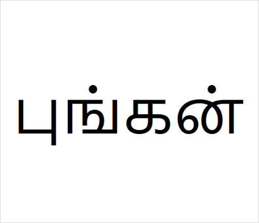 [புங்கன்] Pungan
