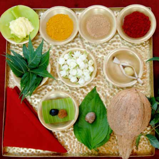 [36086128] Devi Abhisekam